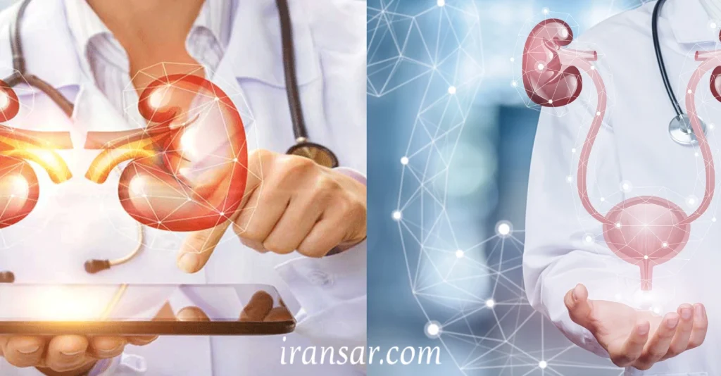 بهترین متخصص کلیه و مجاری ادراری در اصفهان