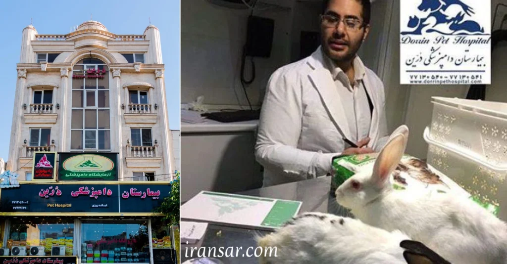 بهترین دامپزشک تهران