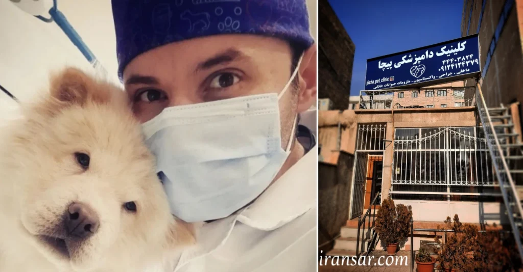 بهترین دامپزشک تهران